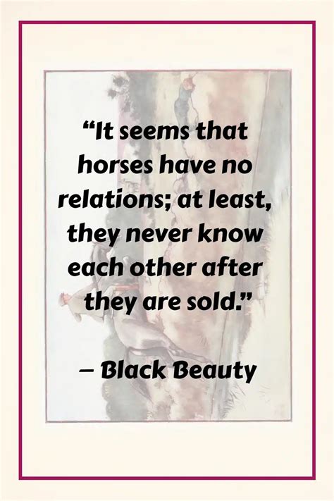 37 Top "Black Beauty" Quotes That Kick Hard