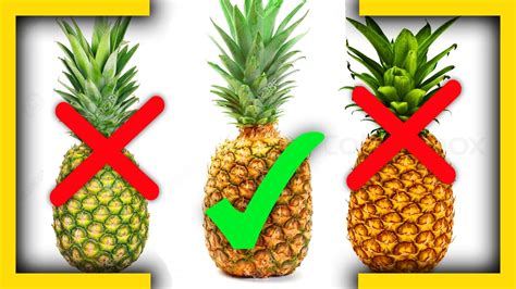 How To Tell If A Pineapple Is Ripe Youtube