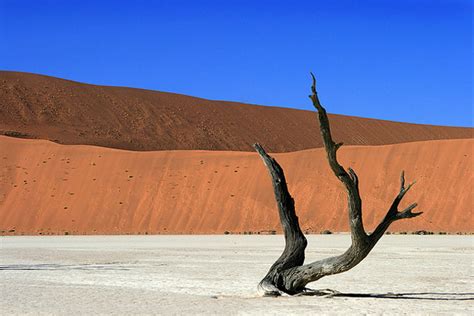 More Vleis - Sossusvlei.com