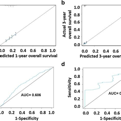 Calibration Curves And Receiver Operating Characteristic Roc Curves Download Scientific