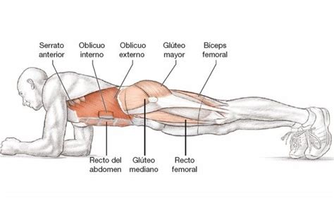 Plancha Un Ejercicio Perfecto Para Un Abdomen Plano 【 2021