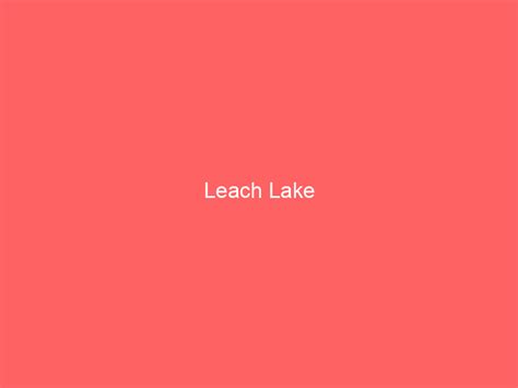 Leach Lake Information And Guide Lakefront Home Finder