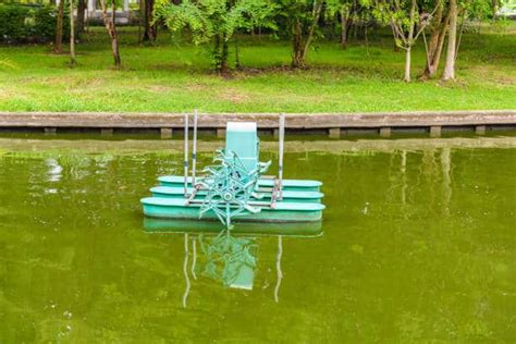 Quels Rem Des De Grand M Re Pour Une Eau De Piscine Verte