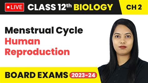 Menstrual Cycle Human Reproduction Class Biology Chapter