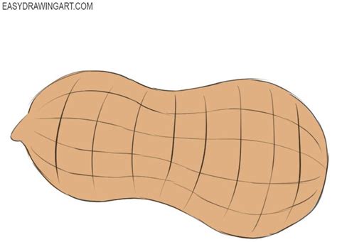 How To Draw A Peanut Drawings Peanut Step By Step Drawing