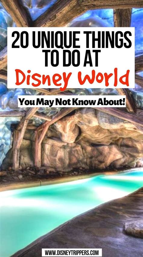 Unique Things To Do At Disney World You May Not Know About Artofit