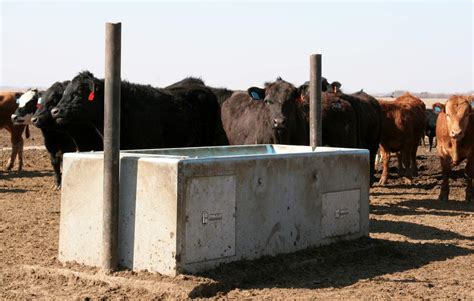 Waterer Gallery | Bohlmann Inc. | Cattle and Livestock Waterers