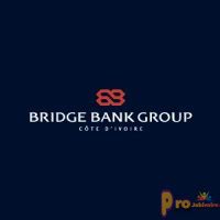 Bridge Bank Group C Te Divoire Recrute Un Charg Daffaires