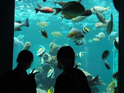 修学旅行に行きました！【2日目・最終日】 輝けタカコウ生 愛知県立高浜高等学校