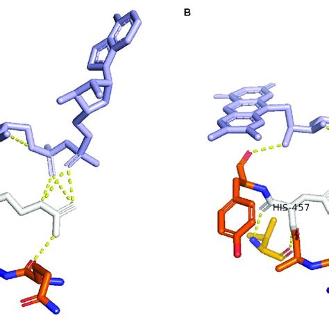 | Structure of cytochrome P450 oxidoreductase before and after... | Download Scientific Diagram