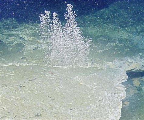 Bubbles Of Methane Rising From Seafloor In Puget Sound