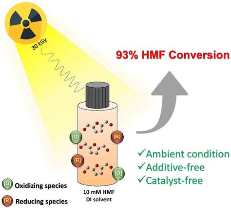 The Effect Of Gamma Radiation On 5 Hydroxymethylfurfural Conversion In