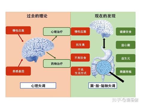 抑郁症到底是心理疾病还是生理疾病 知乎