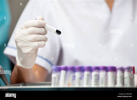 researcher analyzing sample  laboratory stock photo alamy