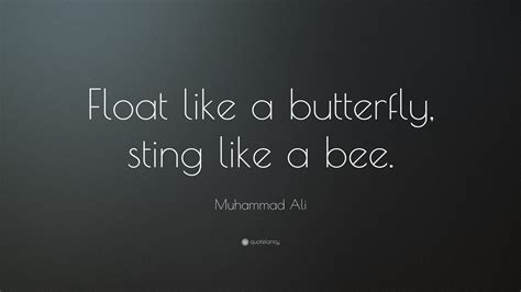 Muhammad Ali Quote: “Float like a butterfly, sting like a bee.”