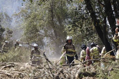 Reporte De Onemi 7 Incendios Forestales Activos 10 Controlados Y Tres