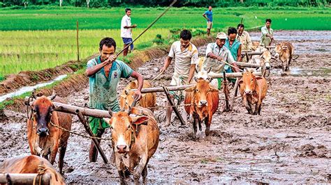 Indian farmers get help from UK as London firm launches weather ...