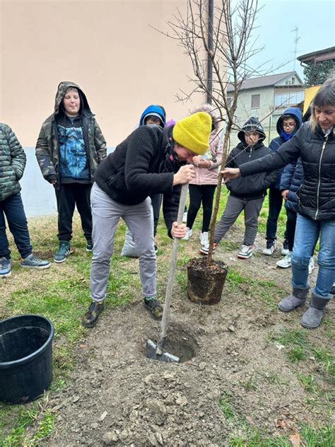 Un Albero Per Il Futuro Anche L Ic Diotti Tra I Virtuosi Dell Ambiente