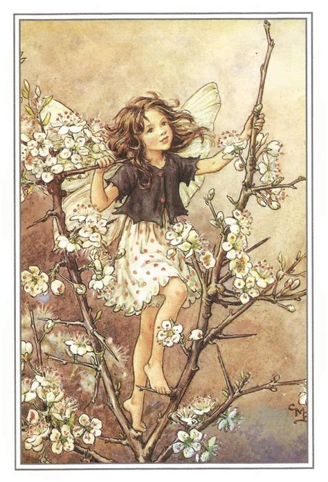 The Blackthorn Fairy Cicely Mary Barker Flower Fairies Vintage Print