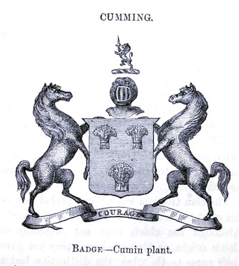 Cumming Coat Of Arms Crest And Motto N3 Drawing By Historic Illustrations Fine Art America