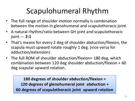 Kinesiology Of The Shoulder