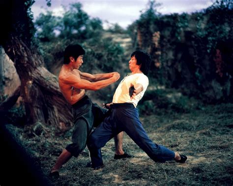 Mad Monkey Kung Fu Film 1979 SensCritique