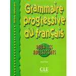 Grammaire Progressive Du Fran Ais Niveau D Butant Kuantokusta