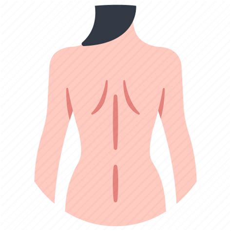 Anatomy Of Female Human Body From The Back Diagram Outer Body Diagram