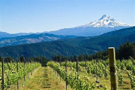 Tripadvisor Columbia River Gorge Tour Vanuit Portland Aangeboden Door