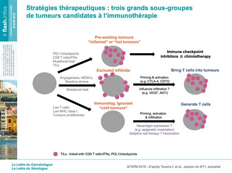 Potentiel De Limmunothérapie Dans Les Cancers Du Sein “réchauffer