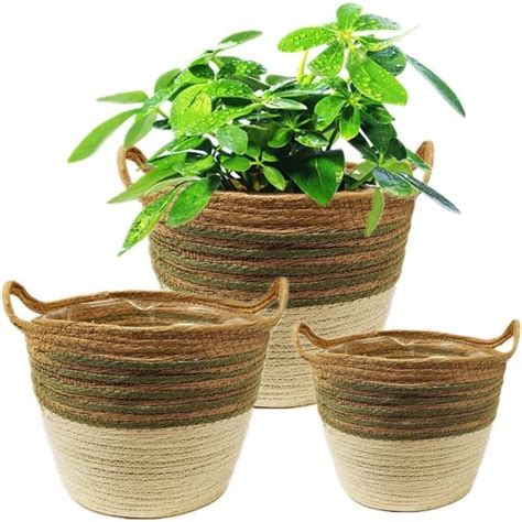 Lot Caches Pot Fleur En Osier Panier Plantes D Int Rieur Pots De