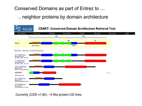 PPT CDD A Conserved Domain Database Aron Marchler Bauer NCBI