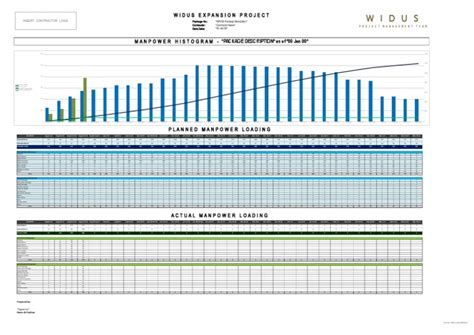 WPM PF PJW 0091 1 Manpower Histogram Template | PDF