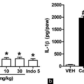 Effects Of Ellagic Acid EA On Carrageenan Carr Induced A Tumor