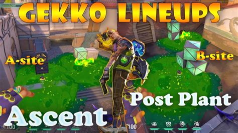 Top 15 Ascent Gekko Post Plant Lineups Gekko Lineups Ascent Gekko