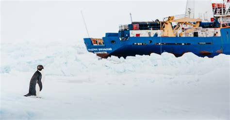 Will stranded ship affect Antarctica cruise tourism?
