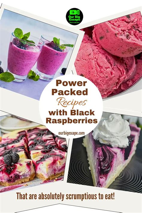 15 Power Packed Recipes With Black Raspberries Black Raspberry Recipes Raspberry Recipes Recipes