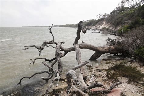 Aransas National Wildlife Refuge Tx Aransas National Wild Flickr