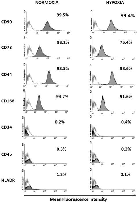 Detection Of Surface Marker Expression Of Wj Mscs Cultured Under Download Scientific Diagram