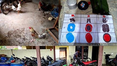 Polisi Gerebek Arena Judi Dan Sabung Ayam Di Lampung Tengah Halaman