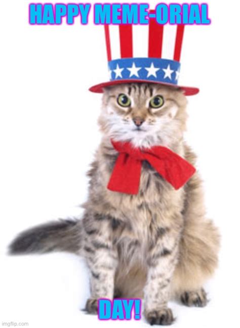 4th Of July Cat Memes Imgflip