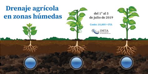 Curso Drenaje agrícola en zonas húmedas Instituto Mexicano de