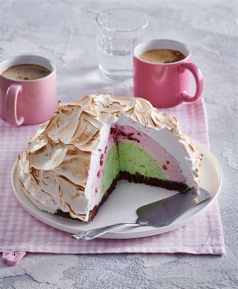 Baked Alaska Cake – License image – 13466185 Image Professionals