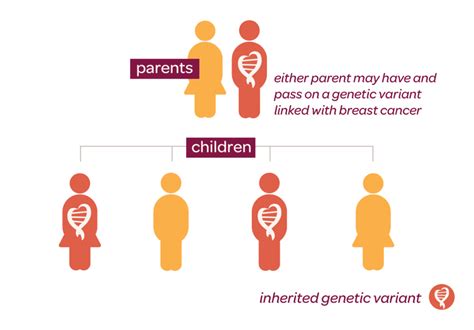 Hereditary Breast Cancer And How To Get Checked MiraKind