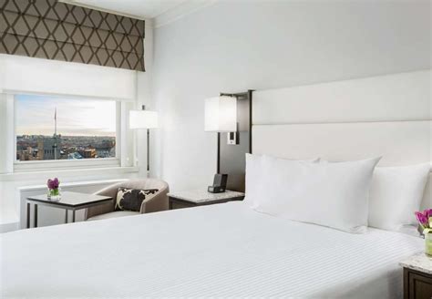 The Best Hotels In Downtown Boston Area | CuddlyNest