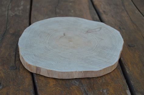 Birch Wood Coasters Wood Discs For Home Decors Or Rustic Etsy