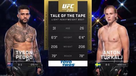 Tyson Pedro Vs Anton Turkalj Highlights Before The Match Youtube