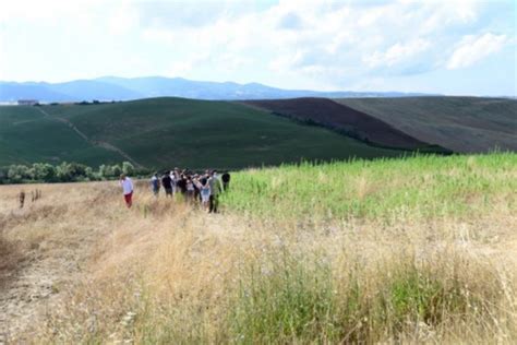 Progetto FilieraCanapaToscana Chimica Verde Bionet