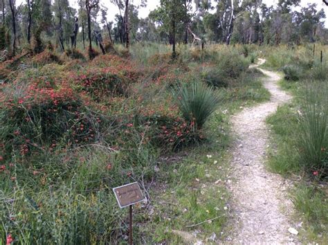 Ambergate Nature Reserve & Walk Trail - Your Margaret River Region