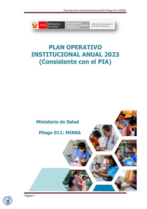 Plan Operativo Institucional Anual Poi Minsa Consistencia Pia